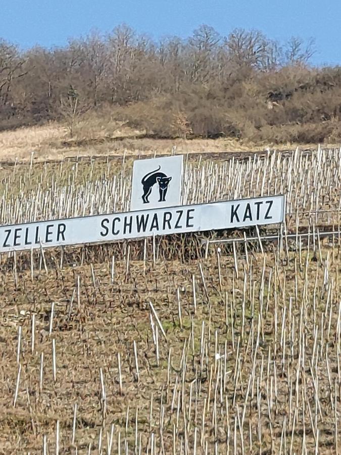 Fewo Siemens Mosel Zell an der Mosel Ngoại thất bức ảnh